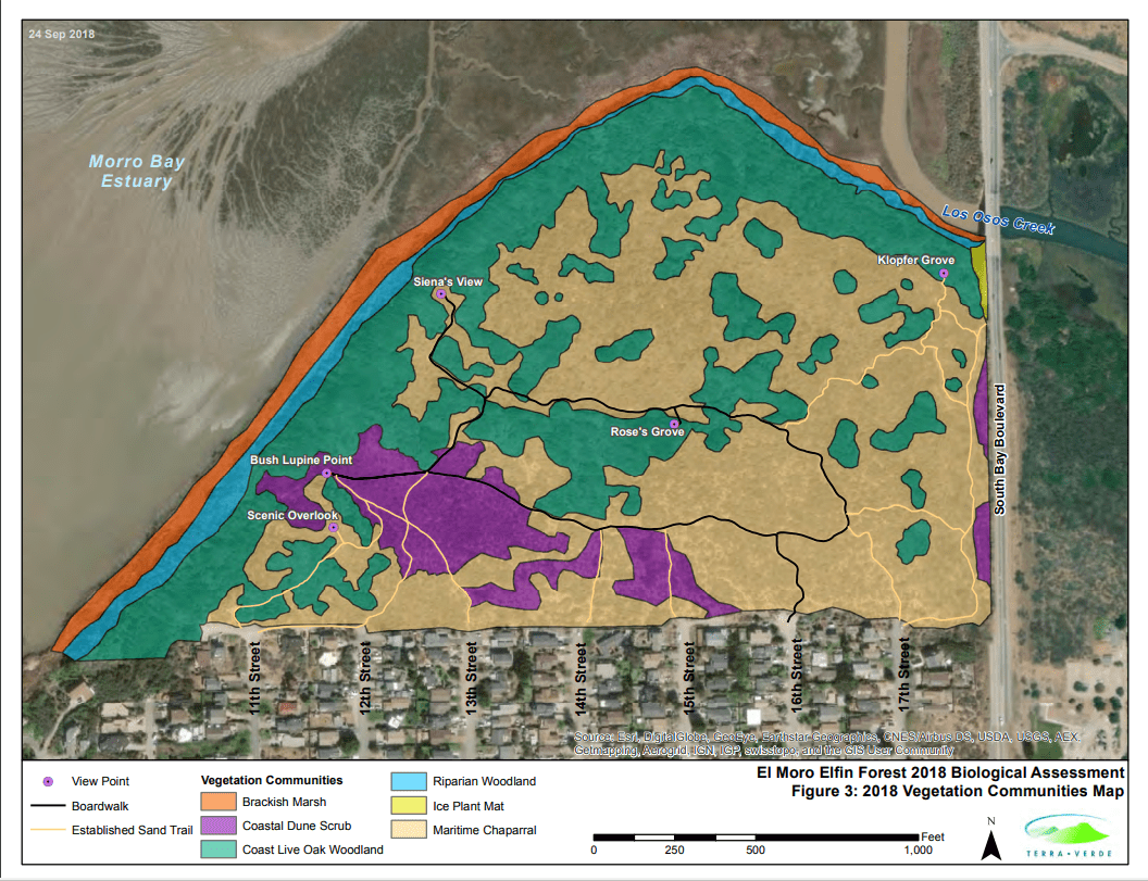 Ecology Map