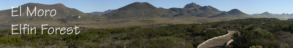 Banner view of Holister Peak