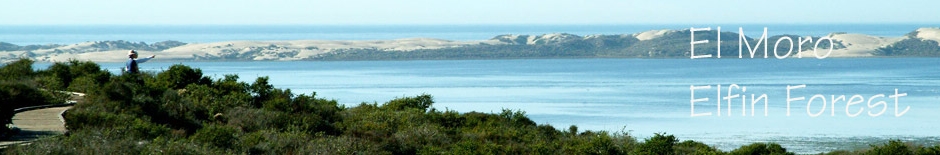 Elfin Forest view of the Bay