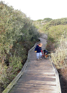 Boardwalk with two elves